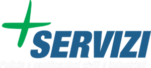 PIU SERVIZI logo2